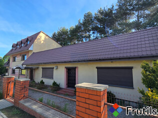 [Oferta Lokal do wynajęcia/ zakład produkcyjny/magazynowy/]