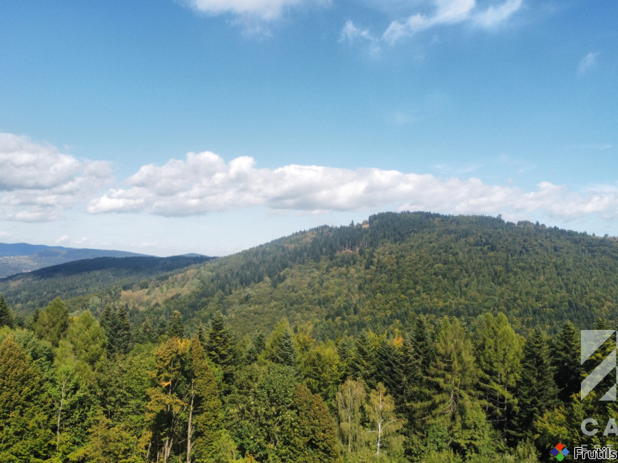 Działka pod lasem, w Beskidach  - Stryszawa – zdjęcie 4 z 20