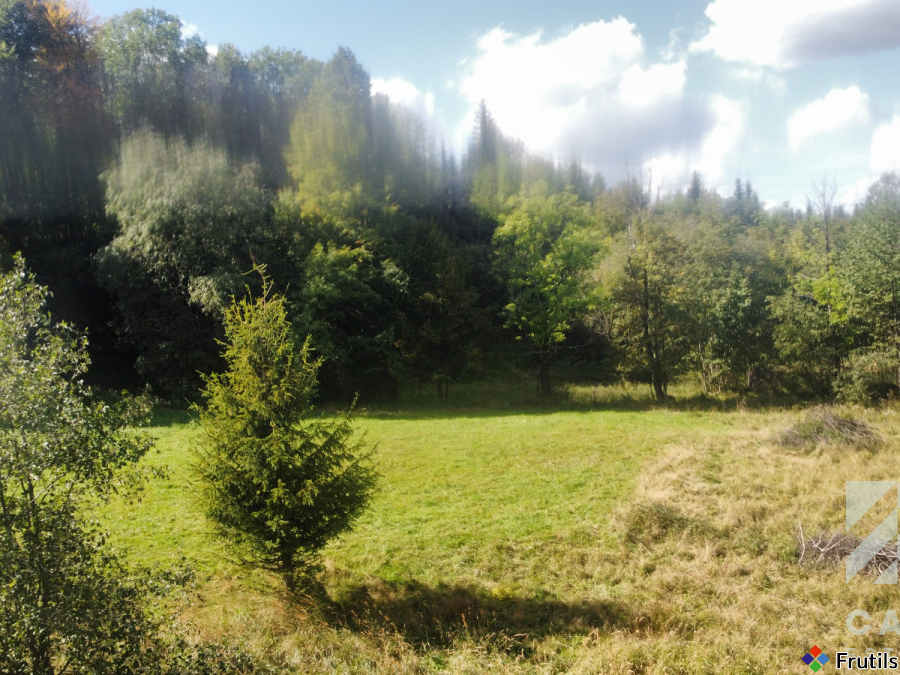 Działka pod lasem, w Beskidach  - Stryszawa – zdjęcie 6 z 20