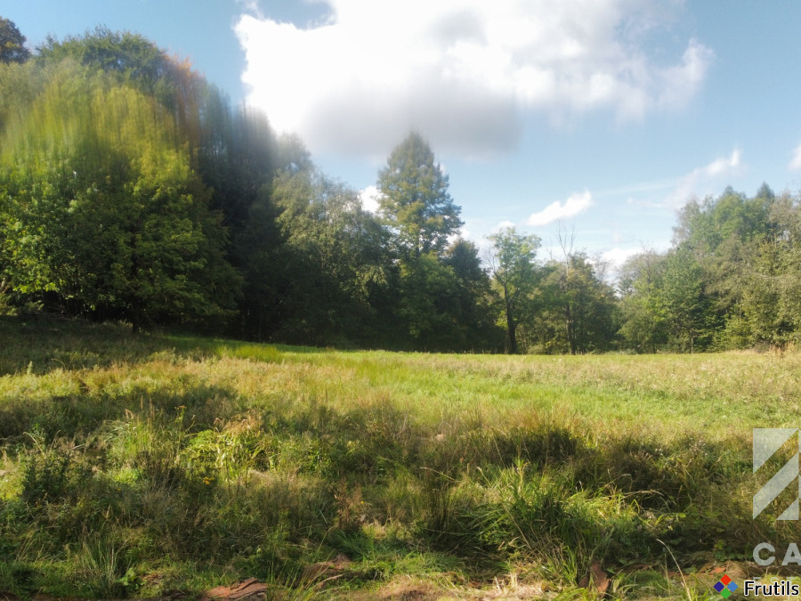 Działka pod lasem, w Beskidach  - Stryszawa – zdjęcie 10 z 20