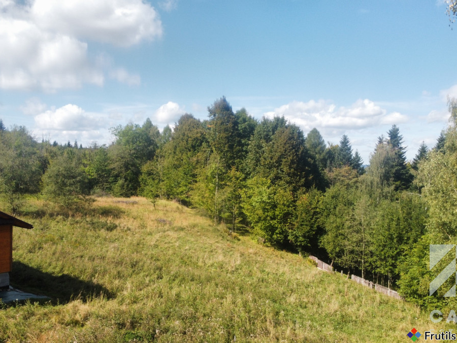 Działka pod lasem, w Beskidach  - Stryszawa – zdjęcie 17 z 20