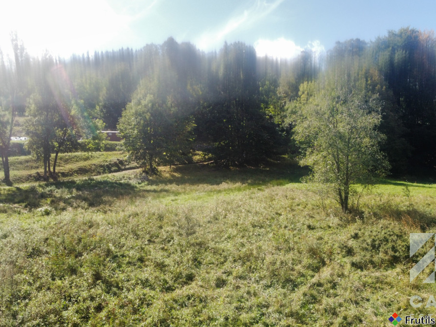 Działka pod lasem, w Beskidach  - Stryszawa – zdjęcie 20 z 20