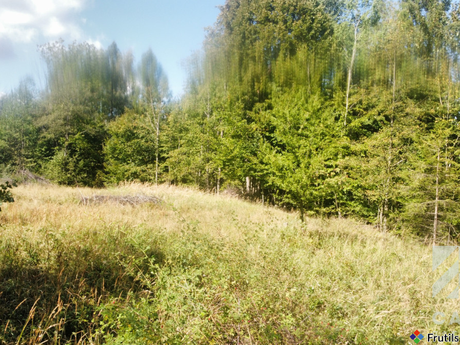 Działka pod lasem, w Beskidach  - Stryszawa – zdjęcie 3 z 20