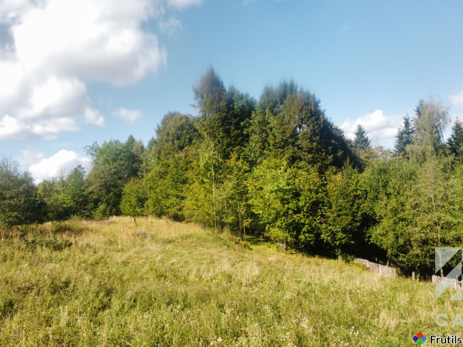 Działka pod lasem, w Beskidach  - Stryszawa – zdjęcie 18 z 20