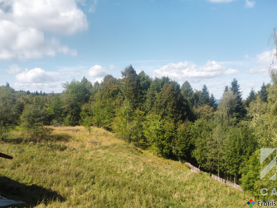 Działka pod lasem, w Beskidach  - Stryszawa – zdjęcie 15 z 20