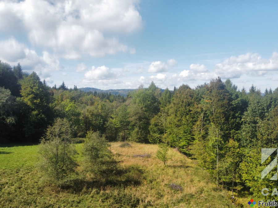 Działka pod lasem, w Beskidach  - Stryszawa – zdjęcie 12 z 20
