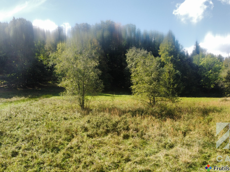 Działka pod lasem, w Beskidach  - Stryszawa – zdjęcie 19 z 20