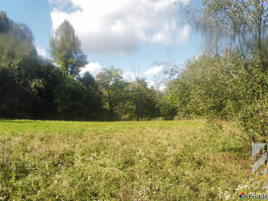 Działka pod lasem, w Beskidach  - Stryszawa – zdjęcie 8 z 20