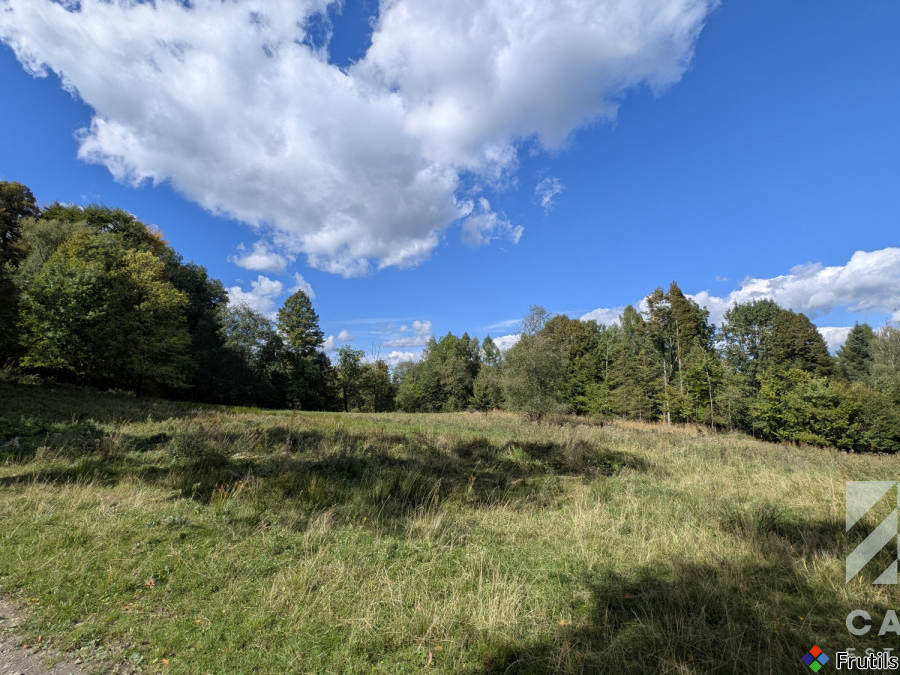Działka pod lasem, w Beskidach  - Stryszawa – zdjęcie 13 z 20