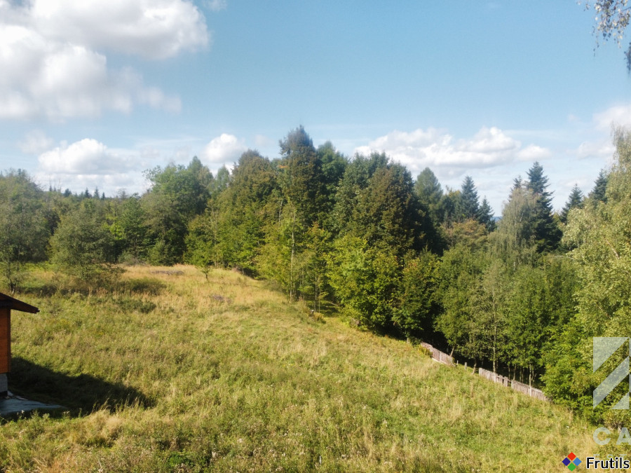 Działka pod lasem, w Beskidach  - Stryszawa – zdjęcie 16 z 20