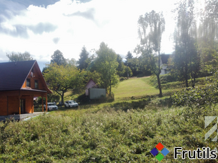 Działka pod lasem, w Beskidach  - Stryszawa – miniatura 2