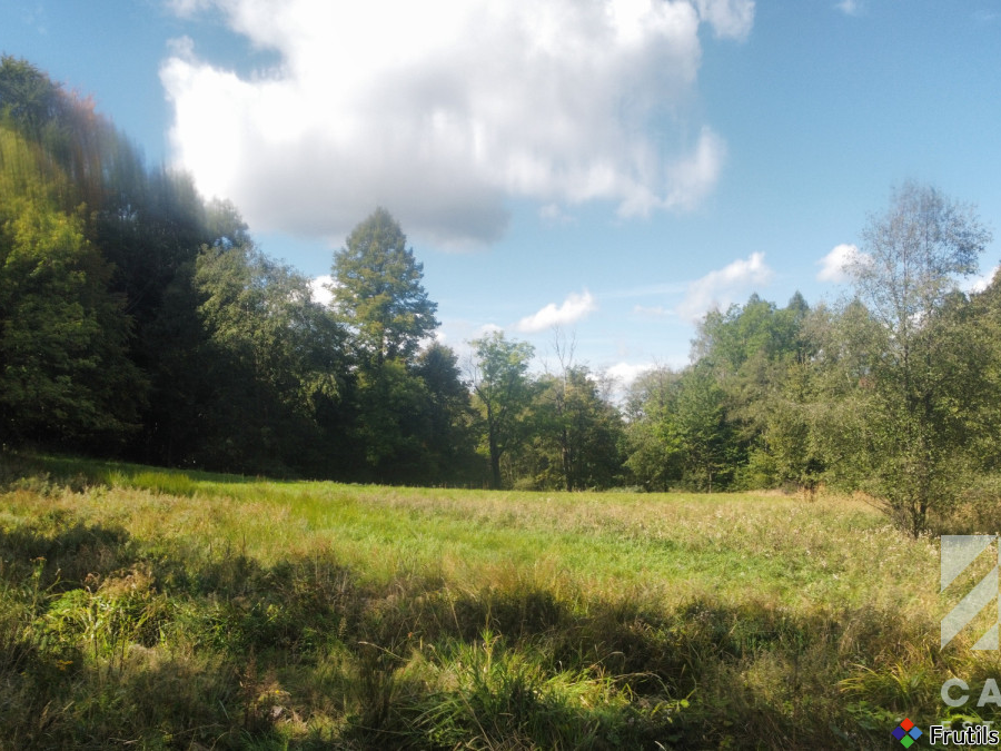 Działka pod lasem, w Beskidach  - Stryszawa – zdjęcie 9 z 20