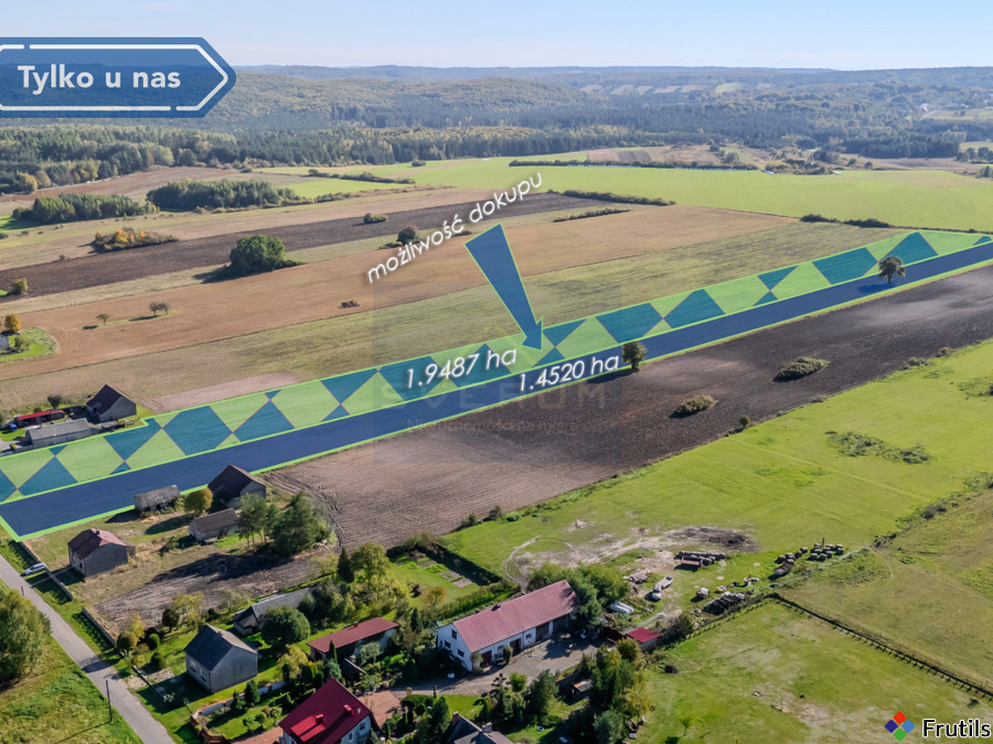 Duża działka budowlana Pabianice gm. Janów – zdjęcie 7 z 8
