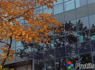 [Oferta Atrakcyjny lokal biurowy w Gdańsku Wrzeszczu !]