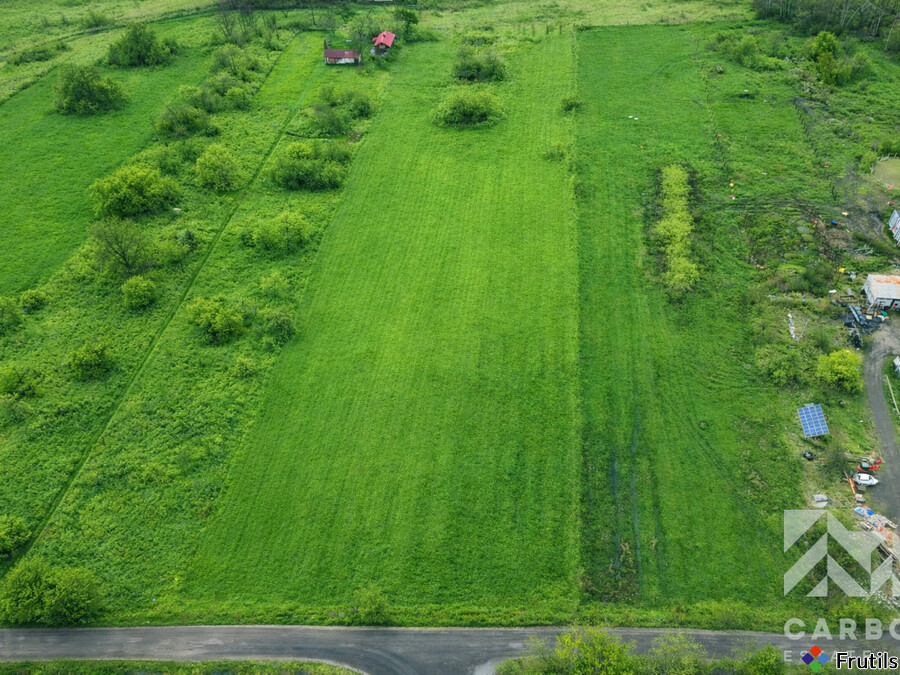 Duża działka z MPZP 4883m2 – zdjęcie 4 z 7