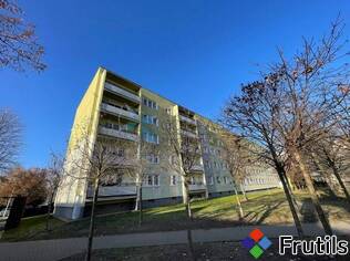 [Oferta Jasna,cicha,ustawna kawalerka ok. 32m2 z piwnicą .]