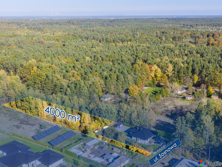 Działka w Kłobucki 4000m2 – zdjęcie 3 z 6