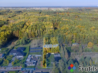 Działka w Kłobucki 4000m2 – miniatura 4
