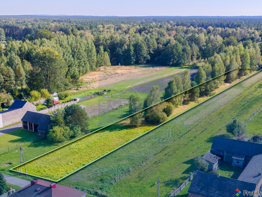 Duża działka Budowlano-rolna Cynków Gm.Koziegłowy – zdjęcie 5 z 5