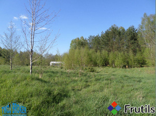 [Oferta Działka rolna]