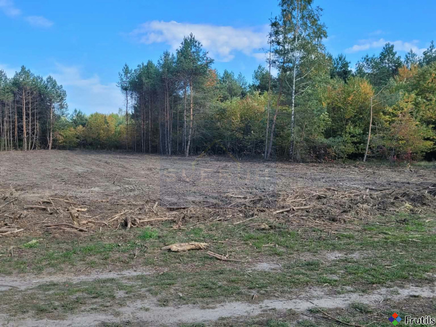 Działki Długi Kąt – zdjęcie 8 z 8