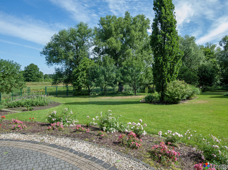Komfortowy dom 233 m² z ogrodem przy rzece. – zdjęcie 8 z 20