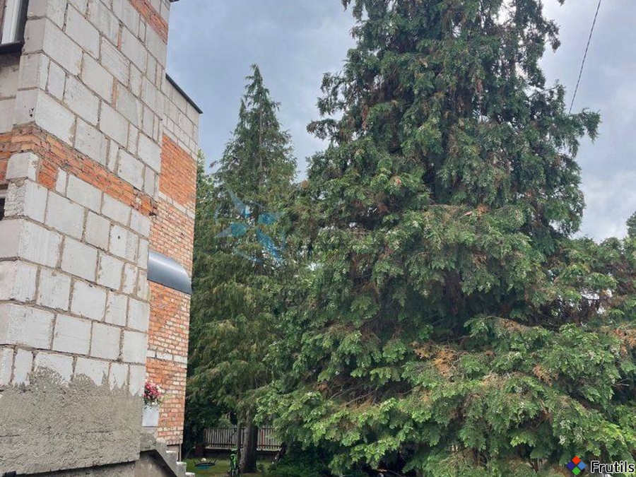 Dom 5 pok./100m2/dz.300m2 ogródek,las,jezioro, – zdjęcie 1 z 14