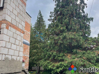 [Oferta Dom 5 pok./100m2/dz.300m2 ogródek,las,jezioro,]
