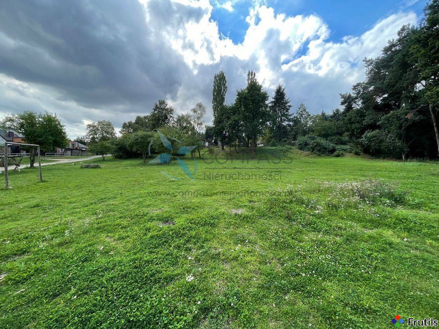 Dom 5 pok./100m2/dz.300m2 ogródek,las,jezioro, – zdjęcie 9 z 14