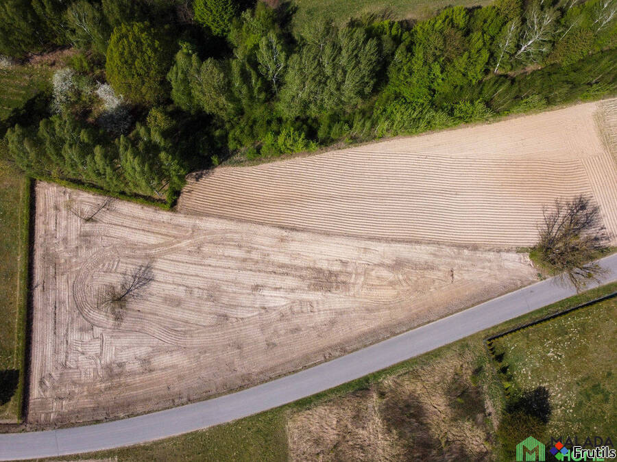 Działka w Kazimierzu Dolnym, Góry – zdjęcie 5 z 10