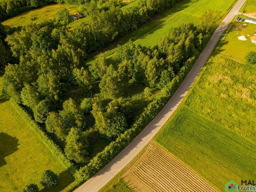 Działka w Kazimierzu Dolnym, Góry – zdjęcie 3 z 10