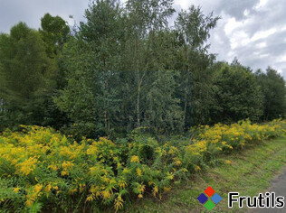 [Oferta Działka budowlana na sprzedaż, Częstochowa Stradom]