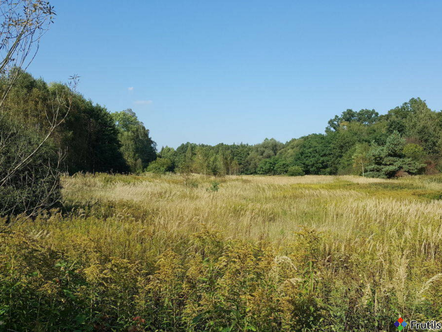 Niziny,wśród lasów – zdjęcie 4 z 4