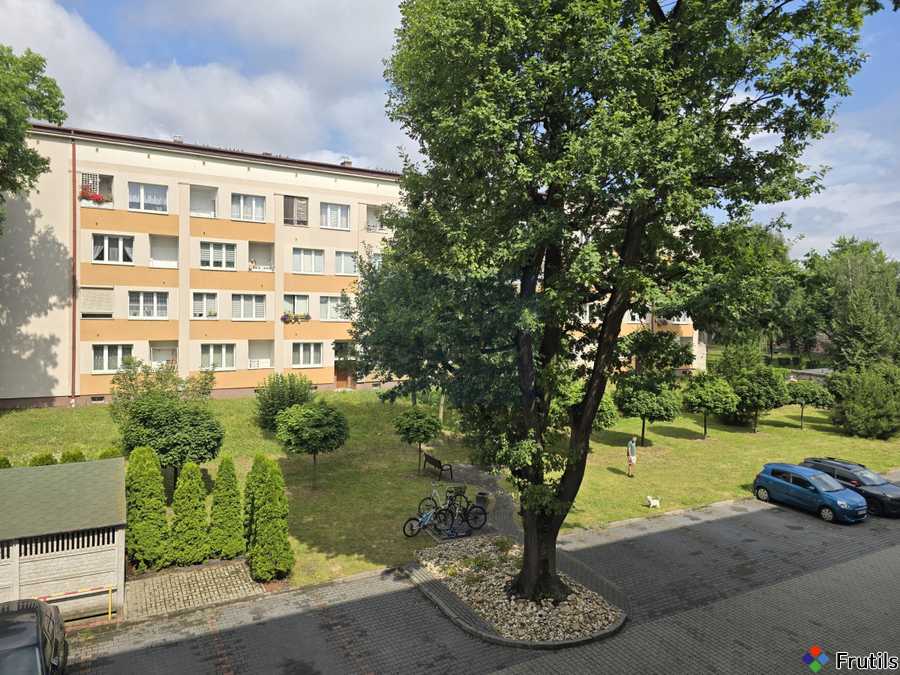 2 pokoje/cegła/parking/Tysiąclecie – zdjęcie 4 z 11