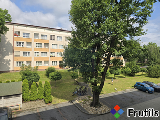 2 pokoje/cegła/parking/Tysiąclecie – miniatura 4