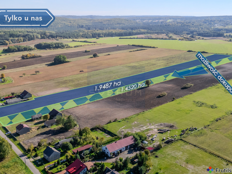 Duża działka Pabianice gm. Janów – zdjęcie 6 z 8