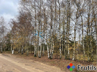 [Oferta Duża działka 1098m2 MPZP,media, Swarzędz Gruszczyn]