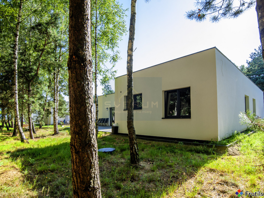 Nowoczesny dom parterowy. – zdjęcie 5 z 20