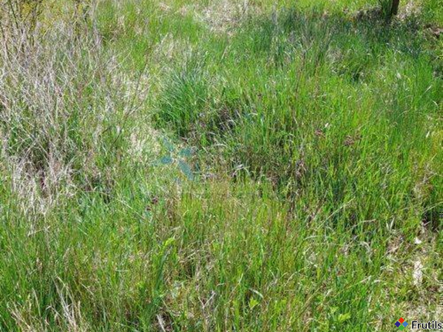 Działka 1261m2 MPZP,media w dz, Swarzędz Gruszczyn – zdjęcie 2 z 2