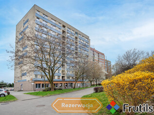 [Oferta M3 do wprowadzenia Raków]