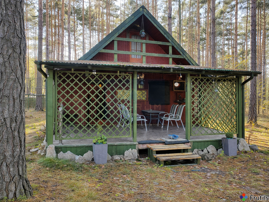 Leśny domek – gotowy na Twój wypoczynek – zdjęcie 1 z 16