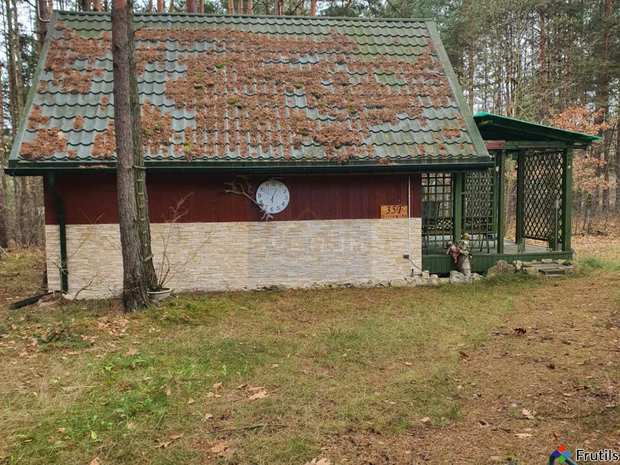 Leśny domek – gotowy na Twój wypoczynek – zdjęcie 7 z 16
