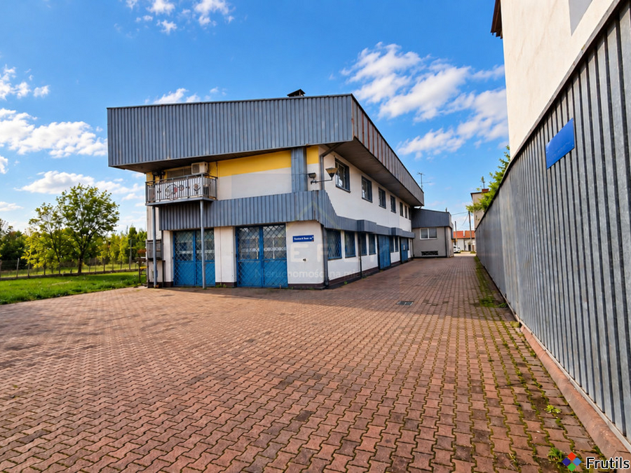 Lokal handlowy/usługowy/użytkowy do wynajęcia – zdjęcie 6 z 11