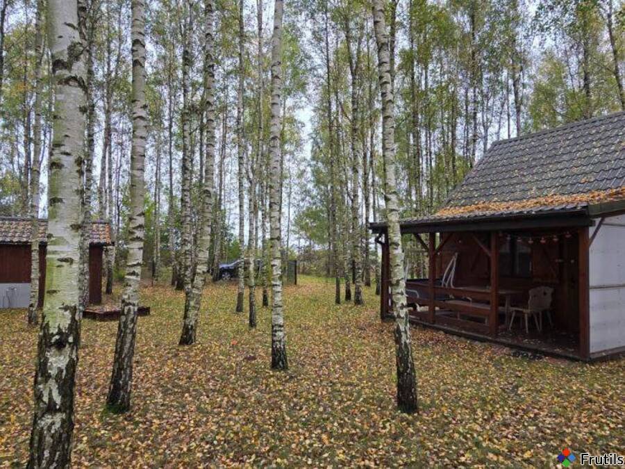 Dom w lesie w okolicach jezior – zdjęcie 4 z 15