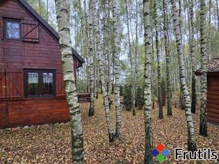 [Oferta Dom w lesie w okolicach jezior]