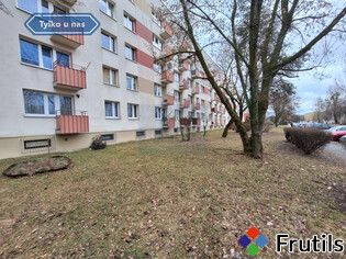 [Oferta M3 na 1 piętrze/Trzech Wieszczów]