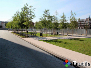 Cosy Apartament by the river in center – miniatura 4