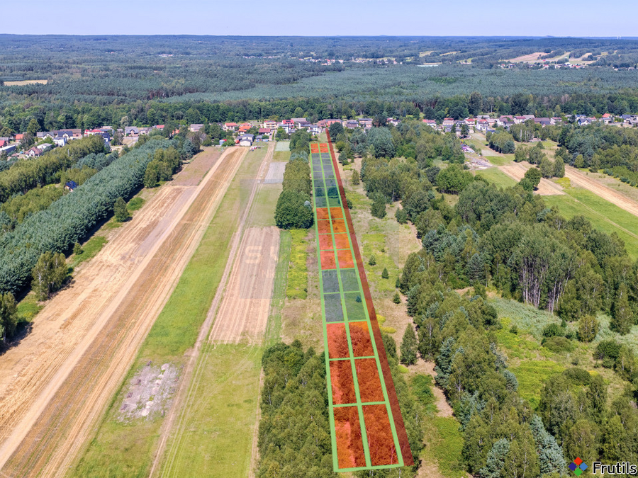 Działki budowlane Rudnik Mały / gm. Starcza – zdjęcie 8 z 11