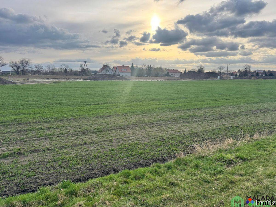 Groblice - super działka budowlana. 12 arów – zdjęcie 7 z 18