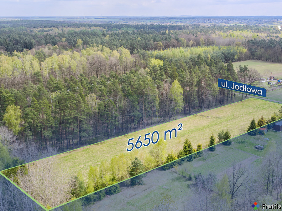 Działka budowlana 5650 m² z gotowym projektem domu – zdjęcie 12 z 20